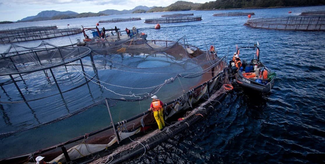 AquaChile — Soluciones a Medida Interface